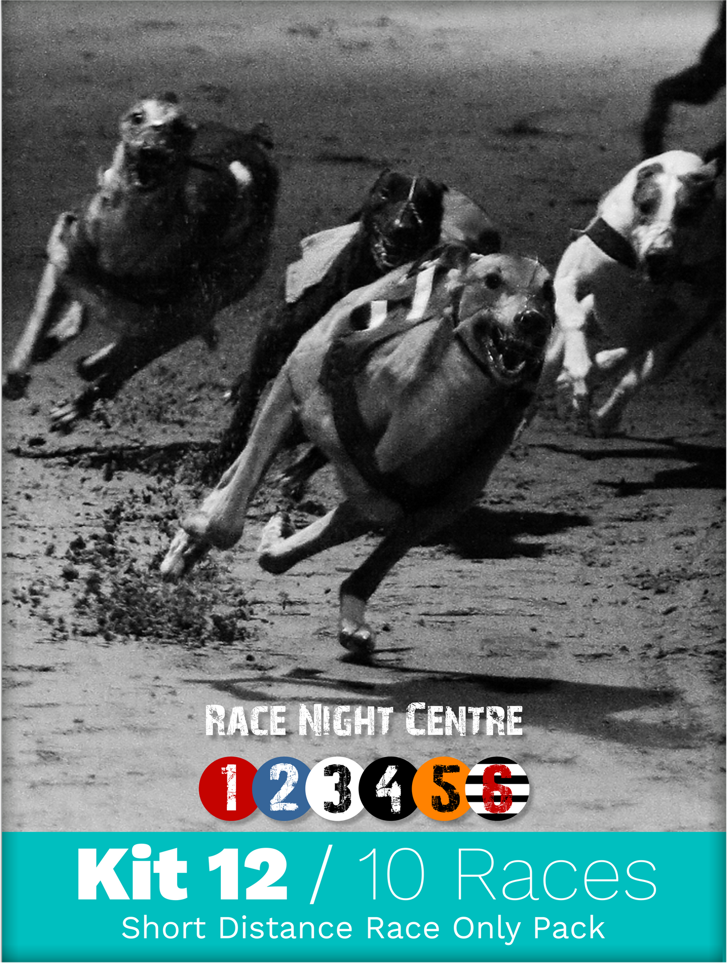 Kit 12 - 10 Sprint Distance Races - Greyhound Race Night Fund Raising