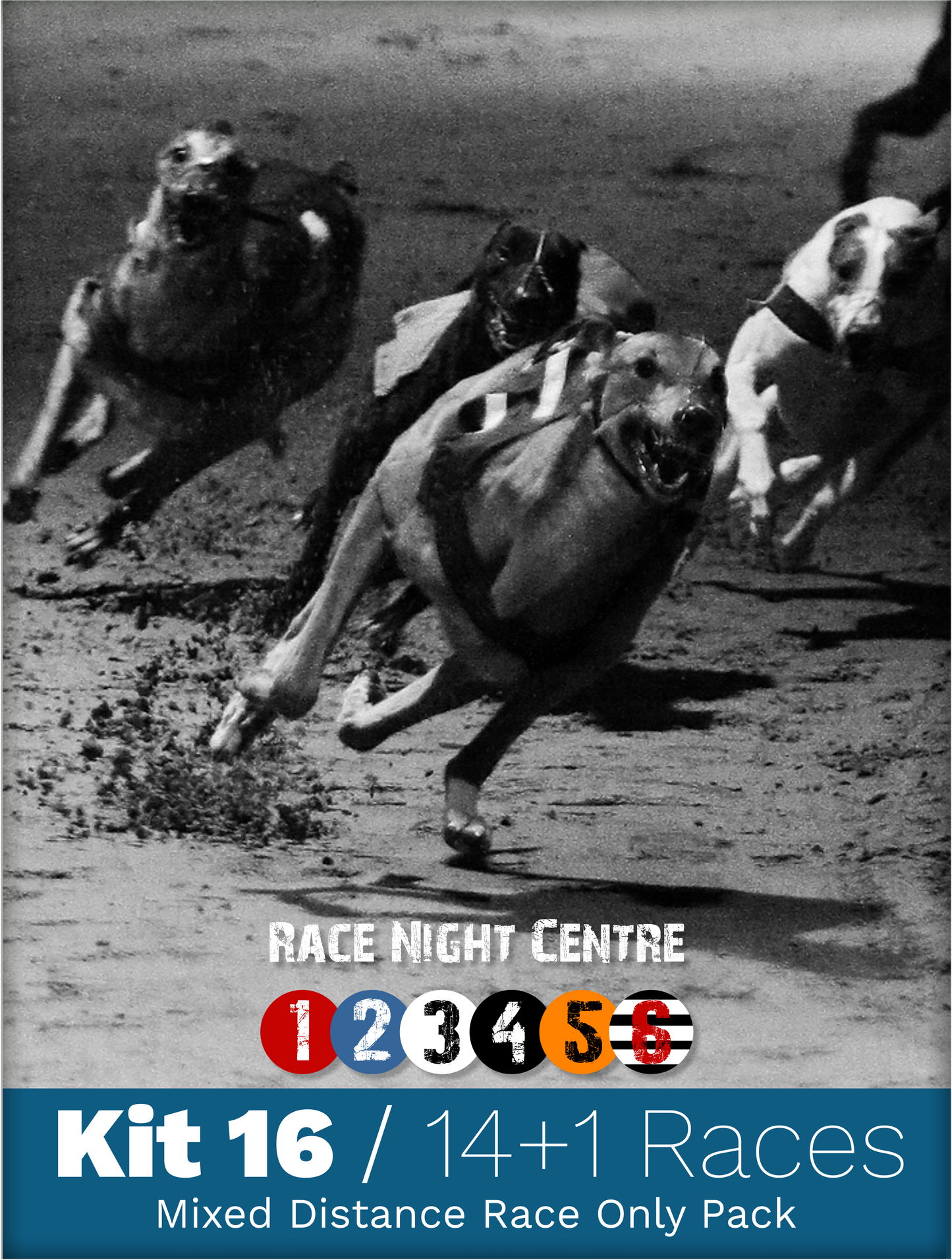 Kit 16 - 14 Mixed Distance Races - Greyhound Race Night Fund Raising