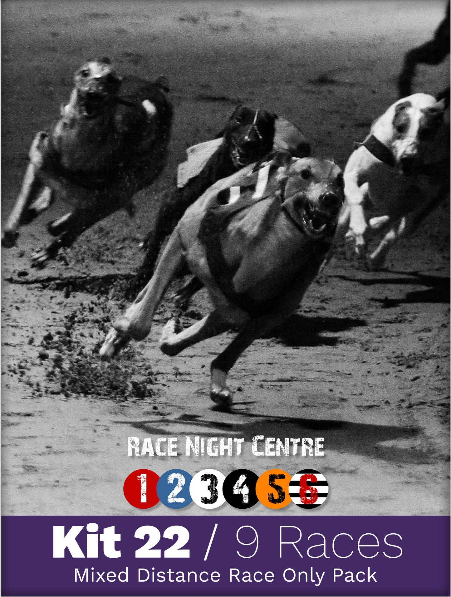 Kit 22 - 9 Mixed Distance Races - Greyhound Race Night Fund Raising