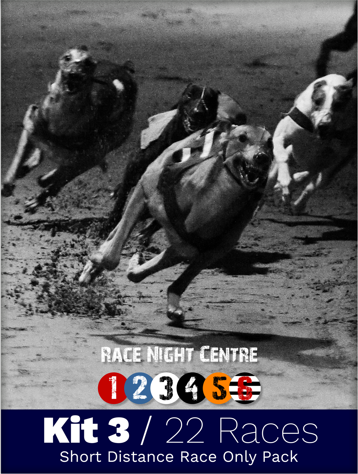 Kit 3 - 22 Short Distance Races - Greyhound Race Night Fund Raising