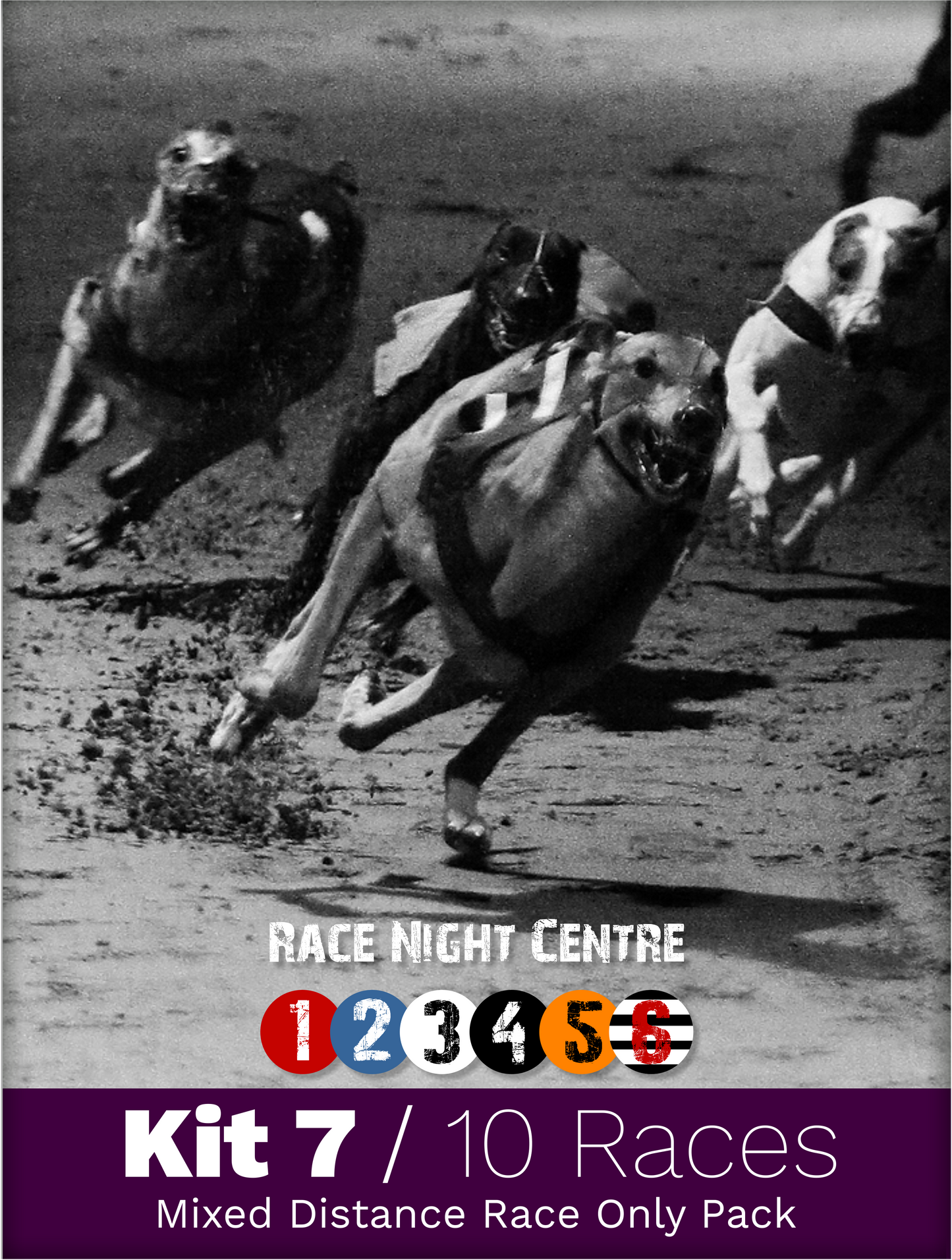 Kit 7 - 10 MIxed Distance Races - Greyhound Race Night Fund Raising